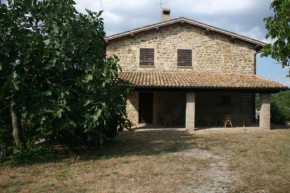 Отель Agriturismo Colle del Sole  Сан Мартино Ин Колле